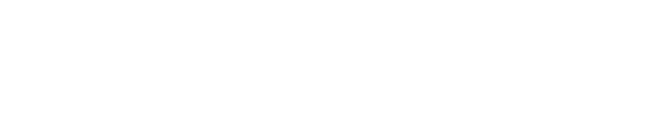 FINSTEP